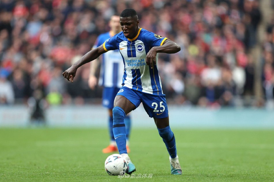 蓝军的胜算 蓝军的胜算